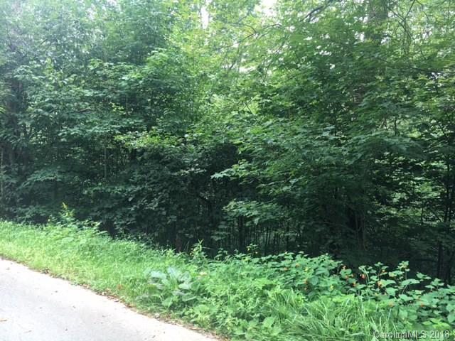 Property image 3 at Lot 218 Rough Ridge Road, Sugar Mountain, NC 28604