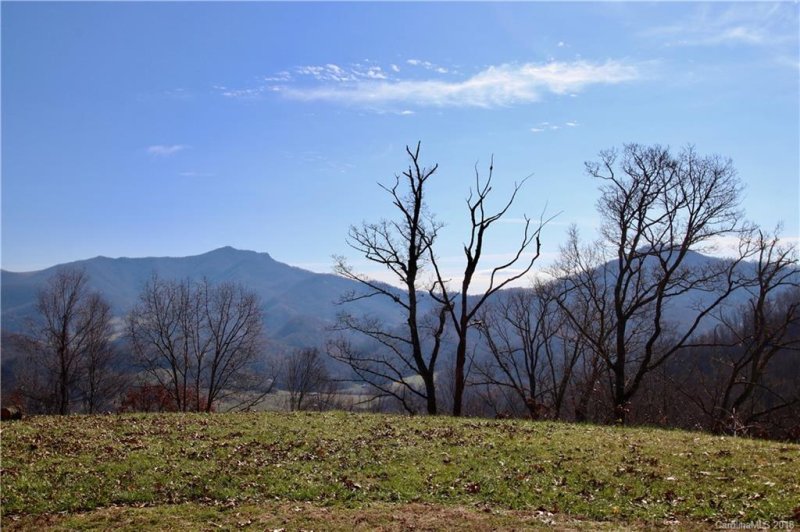 Property image 3 at 1231 Grandeur Heights, Clyde, NC 28721