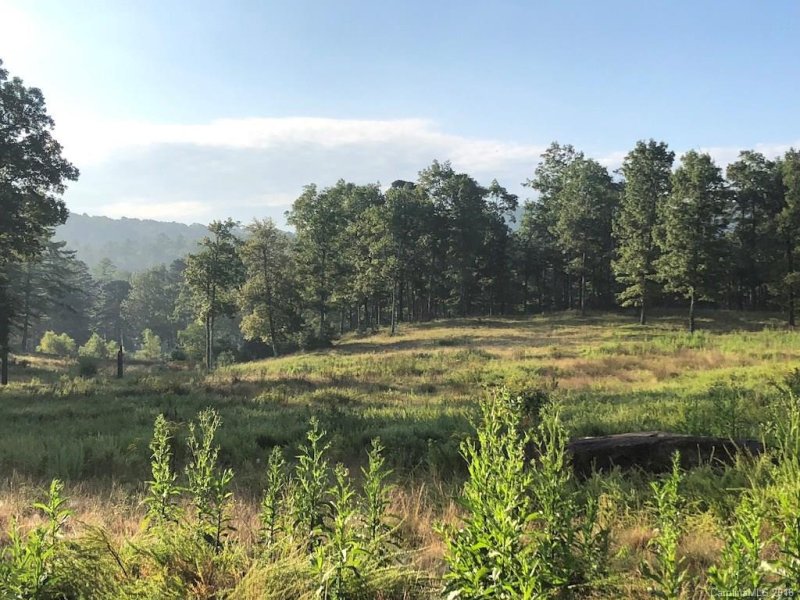 Property image 3 at L3 Stones Lake Road, Cedar Mountain, NC 28718