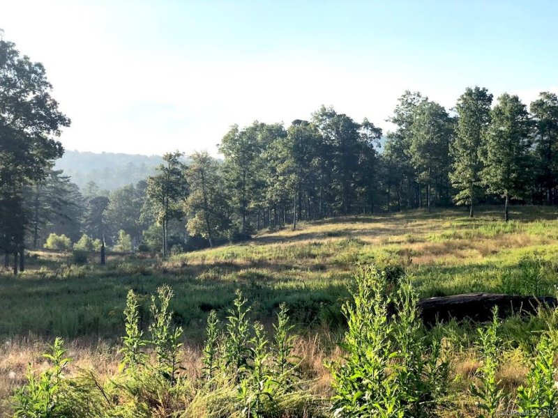 Property image 4 at L3 Stones Lake Road, Cedar Mountain, NC 28718