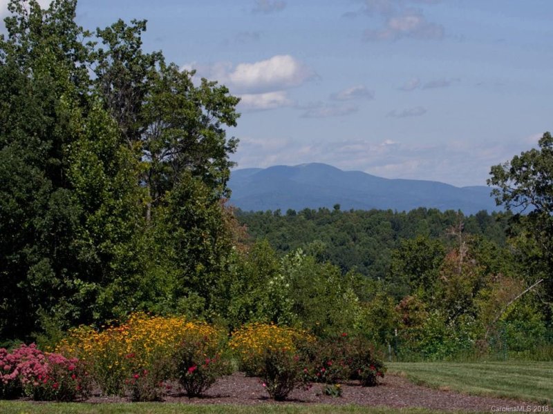 Property image 3 at 169 Long Tail Lane, Hendersonville, NC 28739