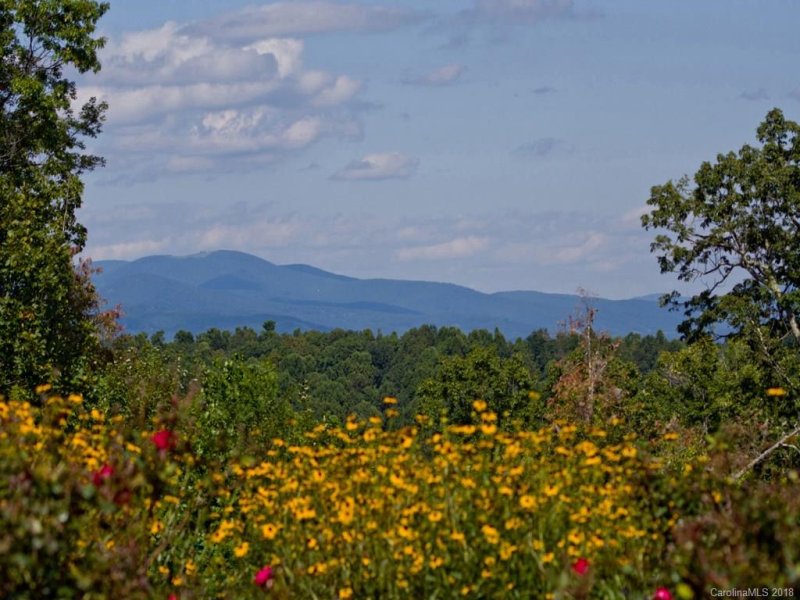 Property image 5 at 706 Monarch Road, Hendersonville, NC 28739