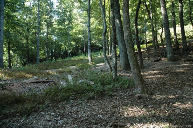 Property image 3 at 0 Fairway Loop, Burnsville, NC 28714