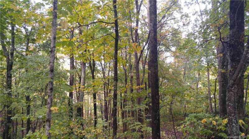 Property image 2 at 15 Mountain Mint Drive, Swannanoa, NC 28778