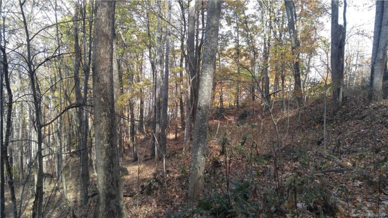 Property image 3 at 15 Mountain Mint Drive, Swannanoa, NC 28778