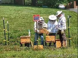 Property image 4 at 105 Little Woods Lane, Old Fort, NC 28762