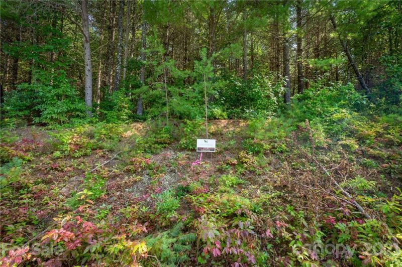 Property image 2 at 1045 Sale Drive, Morganton, NC 28655