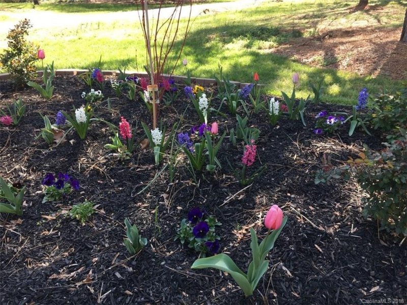 Property image 3 at 1713 Carson Street, Monroe, NC 28110