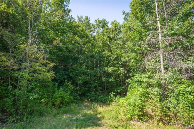 Property image 3 at 1042 Sale Drive, Morganton, NC 28655