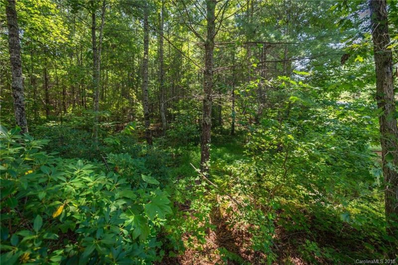 Property image 2 at 1071 Sale Drive, Morganton, NC 28655