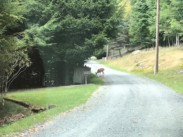 Property image 5 at 131 Grouse Ridge Road, Beech Mountain, NC 28604