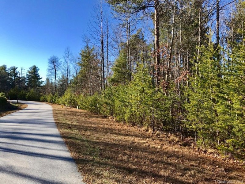 Property image 2 at 586 Monarch Road, Hendersonville, NC 28739