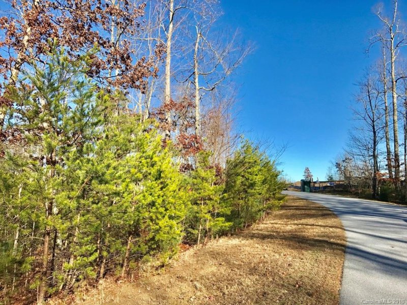 Property image 3 at 586 Monarch Road, Hendersonville, NC 28739