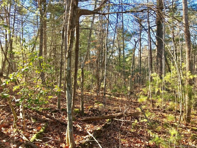 Property image 4 at 586 Monarch Road, Hendersonville, NC 28739