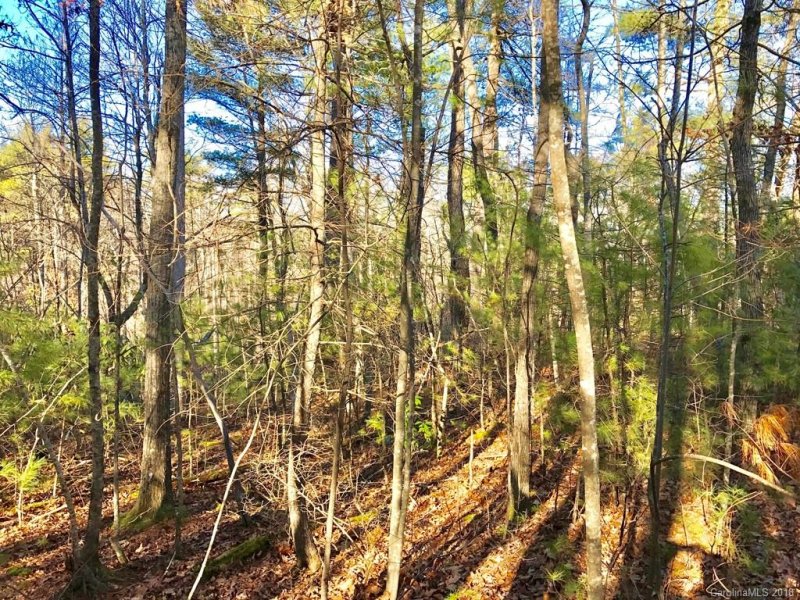 Property image 5 at 586 Monarch Road, Hendersonville, NC 28739