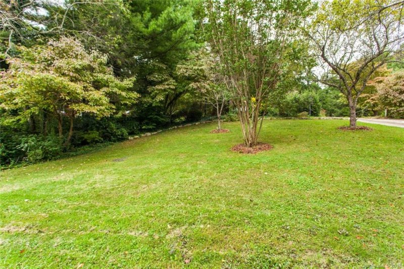 Property image 3 at 36 Brookcliff Drive, Asheville, NC 28804
