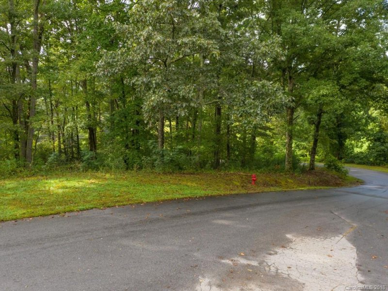 Property image 2 at 39 Waightstill Drive, Arden, NC 28704