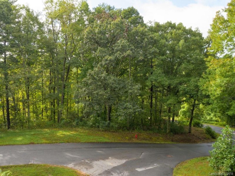 Property image 3 at 39 Waightstill Drive, Arden, NC 28704