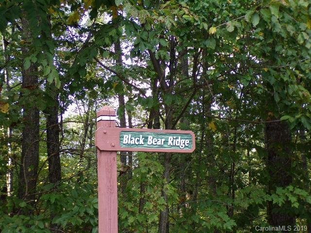 Property image 4 at 100 Black Bear Ridge Trail, Zirconia, NC 28790