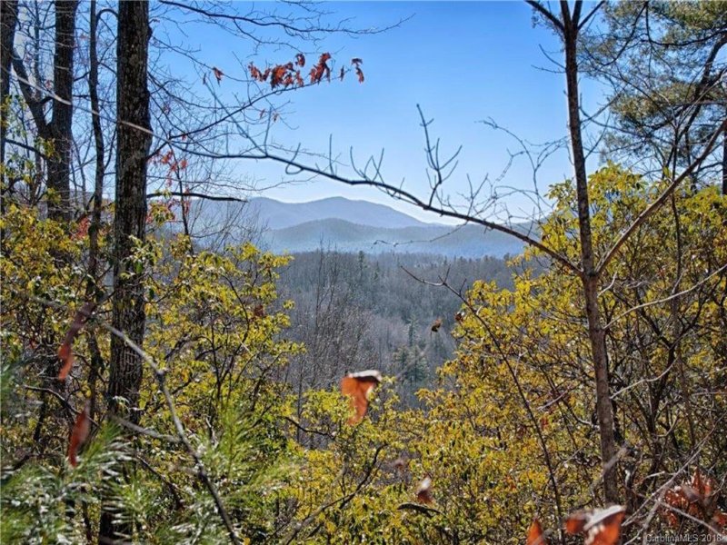 Property image 2 at 20 Fire Azelea Lane, Laurel Park, NC 28739