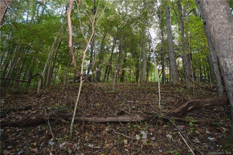 Property image 4 at 00 Hemlock Loop, Maggie Valley, NC 28751