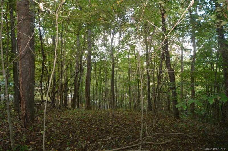 Property image 5 at 00 Hemlock Loop, Maggie Valley, NC 28751