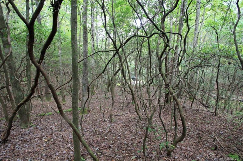 13 Double Creek Drive