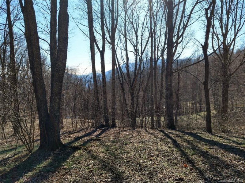 Property image 2 at Lot 5 Sage Lane, Waynesville, NC 28785
