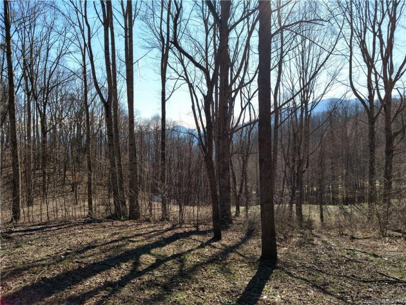 Property image 4 at Lot 5 Sage Lane, Waynesville, NC 28785