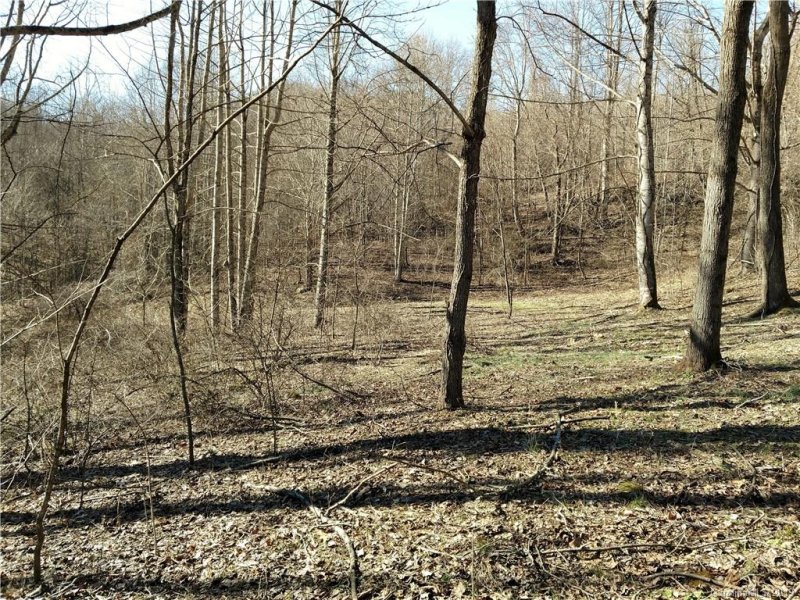 Property image 5 at Lot 5 Sage Lane, Waynesville, NC 28785