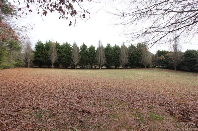 Property image 4 at 4039 Ancestry Circle, Weddington, NC 28104