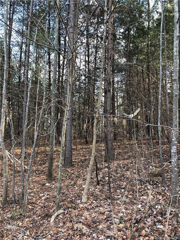 Property image 3 at 9495 Riviera Drive, Sherrills Ford, NC 28673