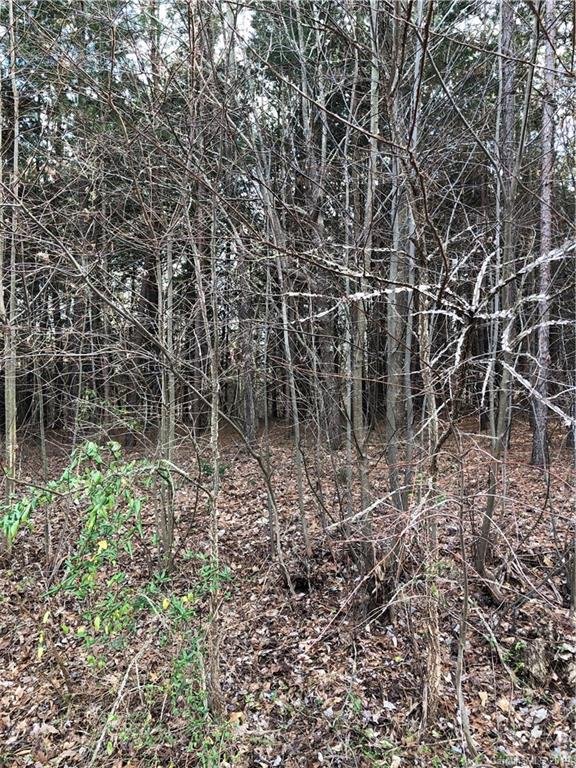 Property image 3 at 9481 Riviera Drive, Sherrills Ford, NC 28673