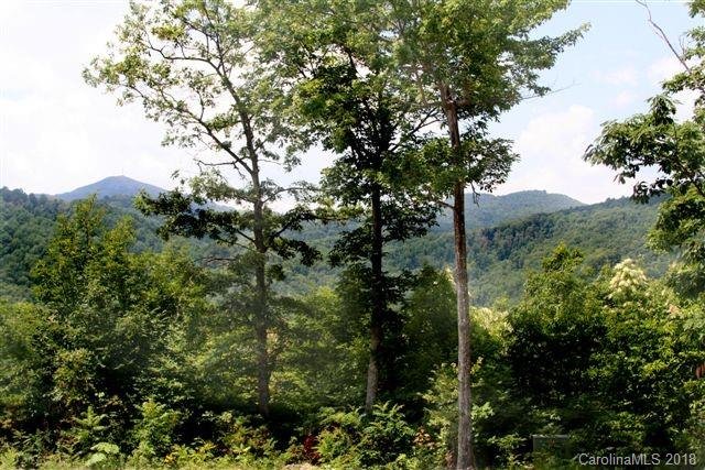 Property image 3 at 106 N Songbird Court, Hendersonville, NC 28792