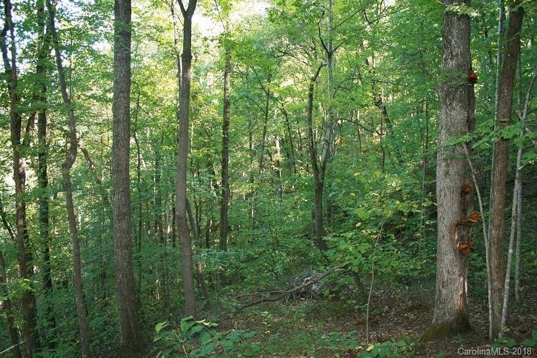Property image 5 at Lot 16 Mountain Forest Drive, Union Mills, NC 28167