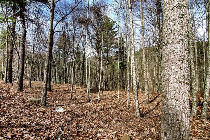 Property image 2 at 15 Villa Nova Drive, Asheville, NC 28804