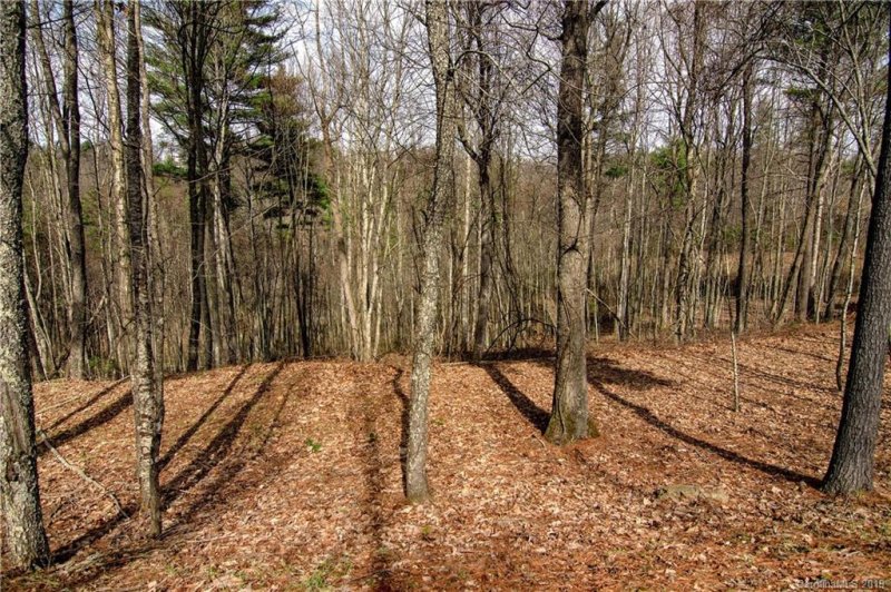 Property image 4 at 15 Villa Nova Drive, Asheville, NC 28804