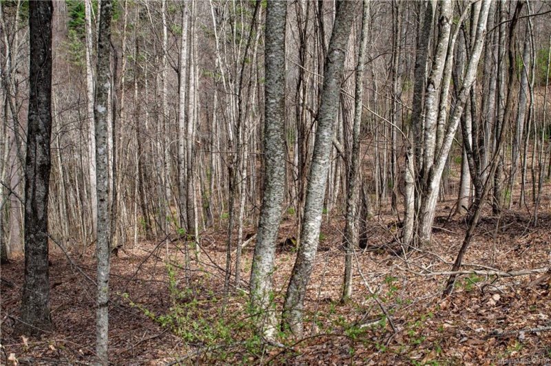 Property image 5 at 15 Villa Nova Drive, Asheville, NC 28804