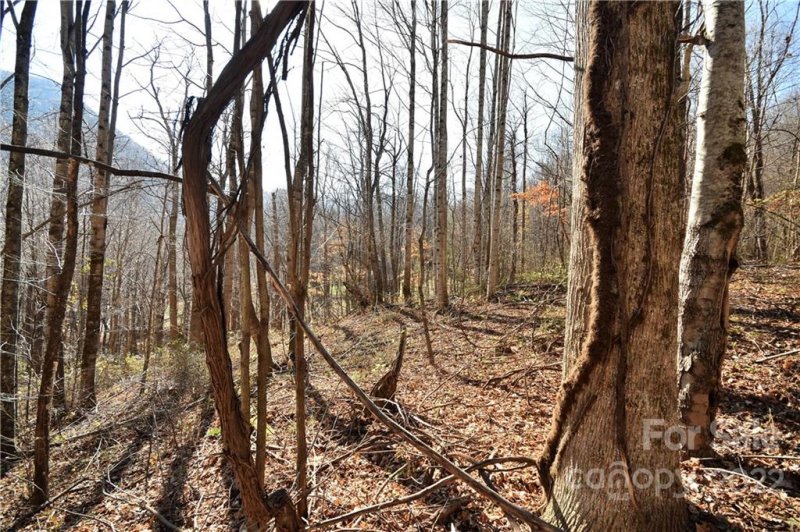 Property image 2 at 19 Lot Tranquility Trail, Maggie Valley, NC 28751