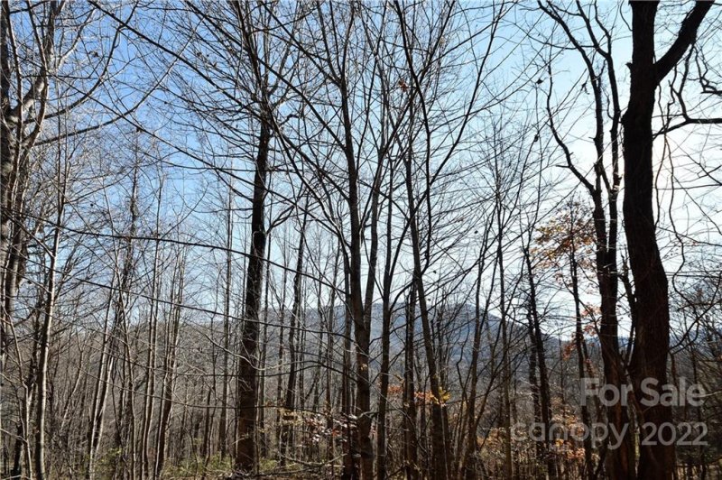 Property image 3 at 19 Lot Tranquility Trail, Maggie Valley, NC 28751