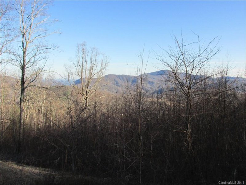 Property image 5 at 1189 Grand Oaks Drive, Hendersonville, NC 28792