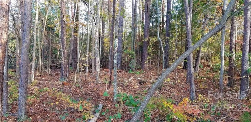 Property image 3 at 00 Rivendell Road, Denver, NC 28037