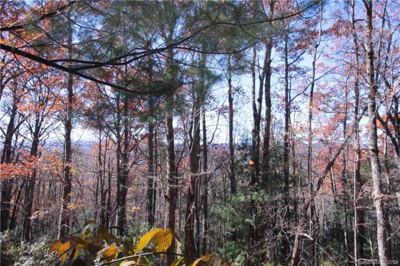 Property image 2 at Lot 37 West View Road, Brevard, NC 28712