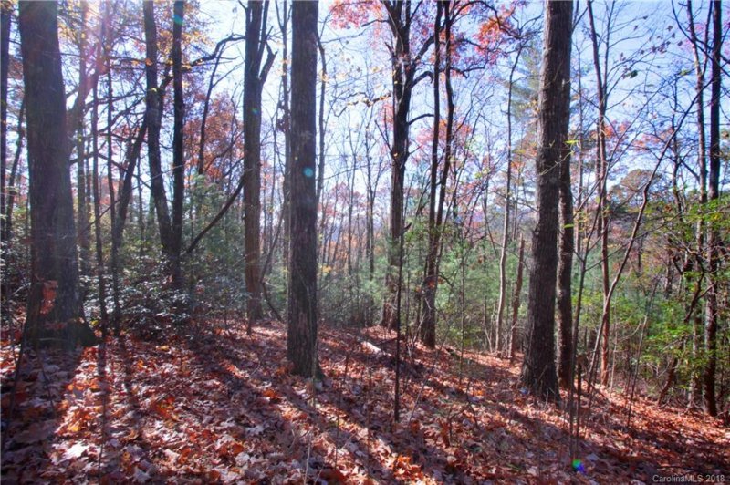 Property image 4 at Lot 37 West View Road, Brevard, NC 28712