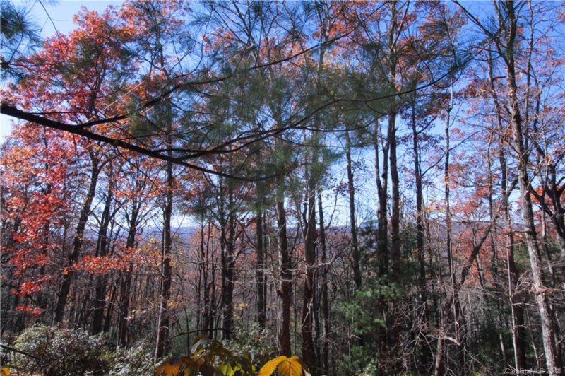 Property image 5 at Lot 37 West View Road, Brevard, NC 28712