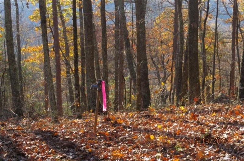 Property image 3 at Lot 20 Locust Ridge, Union Mills, NC 28167