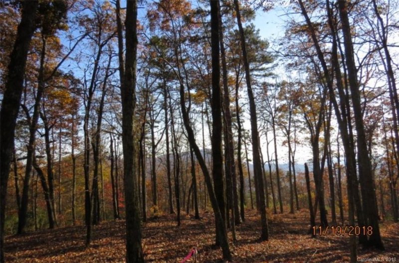 Property image 4 at Lot 20 Locust Ridge, Union Mills, NC 28167