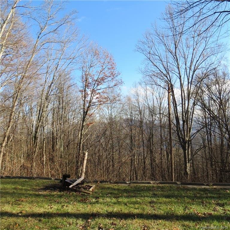 Property image 2 at 2404 Heath Peak Road, Waynesville, NC 28785