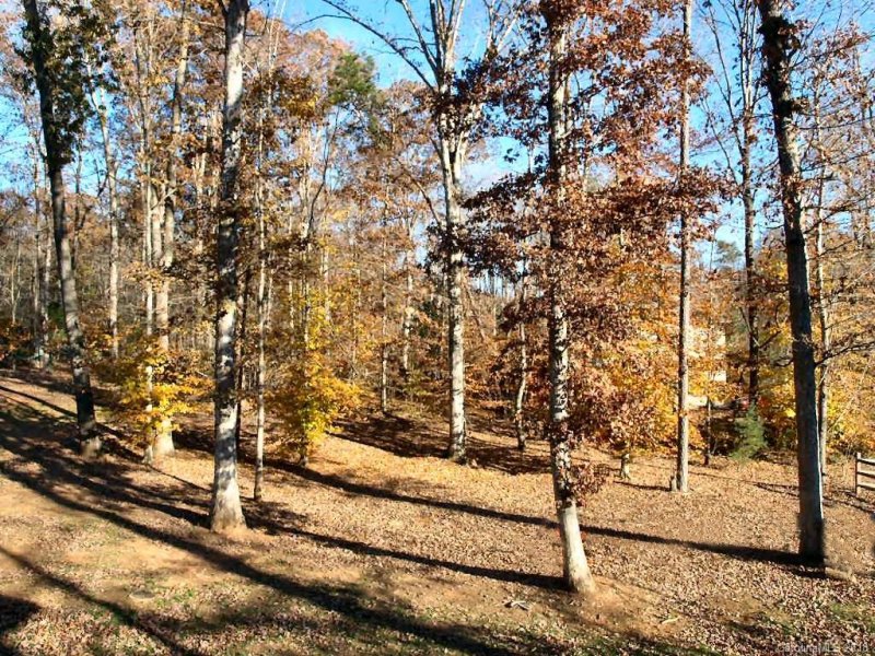 Property image 2 at 3798 Creek Ridge Drive, Denver, NC 28037