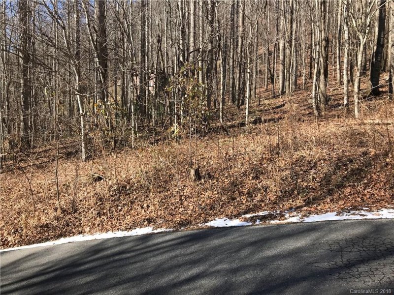 Property image 3 at 60 Section 4 Bald Creek Road, Clyde, NC 28721